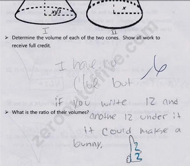 funny test. Math Bunny - Funny Test