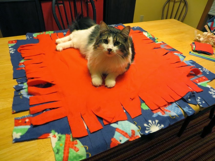 As the World Purrs How to make a Fleece Cat Bed