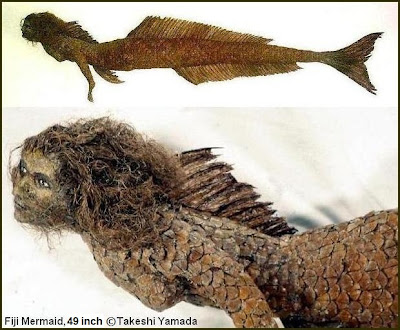 Fiji Mermaid by Takeshi Yamada