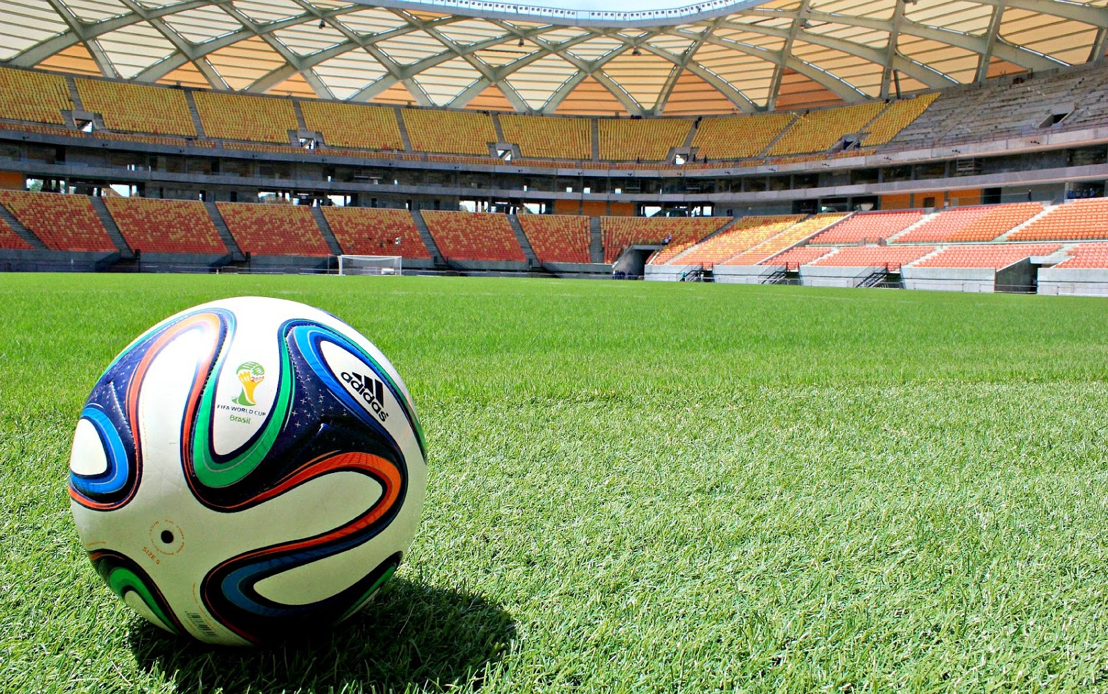 Gramado da Arena da Amazônia é a grande preocupação | Blog do Pávulo