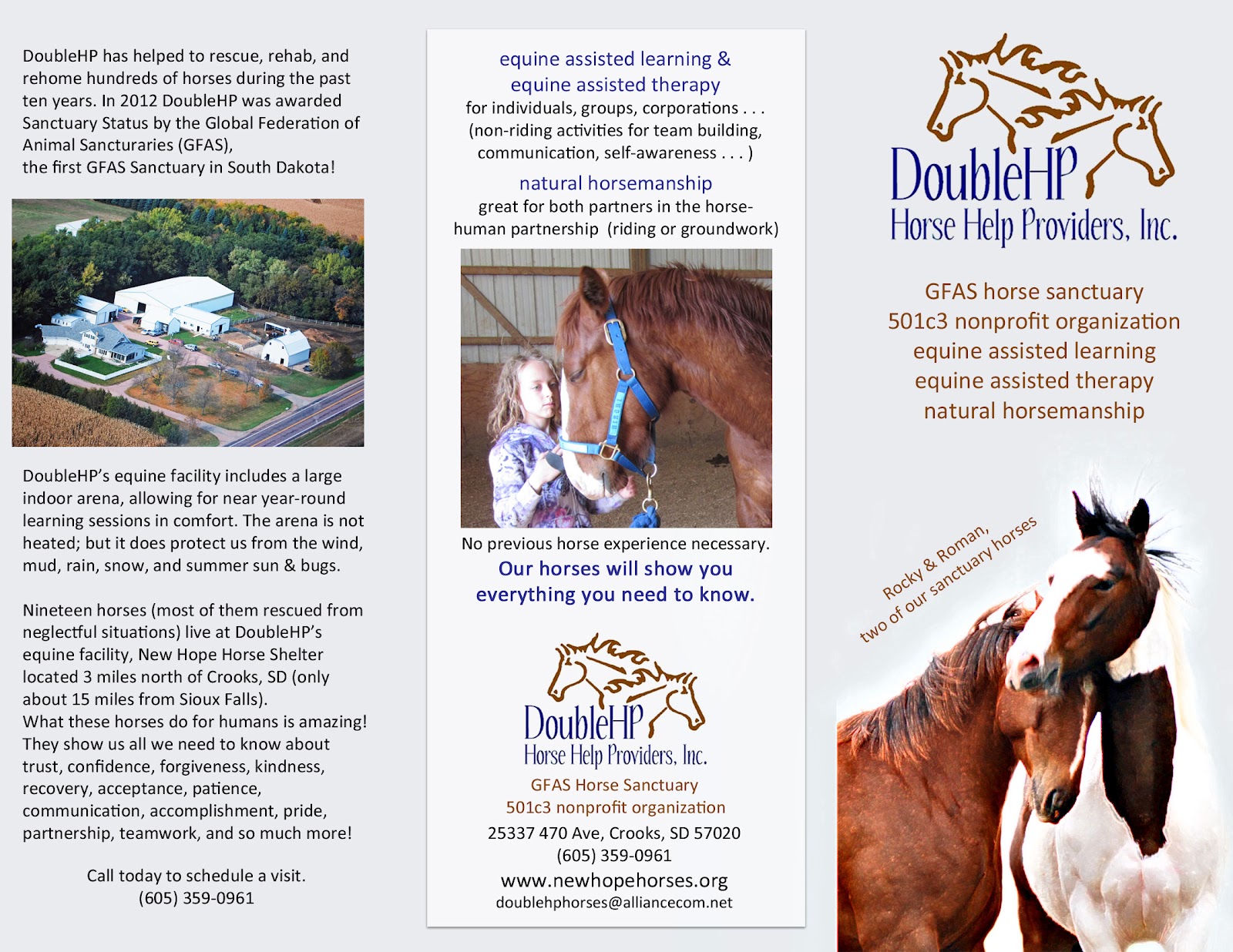 DoubleHP at New Hope Horse Shelter new brochure for DoubleHP horse