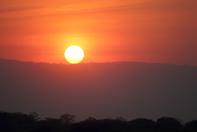 15 días de Safari y playa - Blogs de Tanzania - 30 de julio de 2012. Primer día en Tarangire. (9)