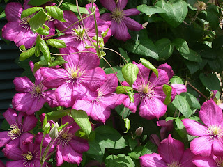 Gardening Gifts and the Connections they Make..... Gardening Gifts and the Connections they Make.....