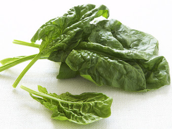 mustard_greens.jpg mustard_greens.jpg