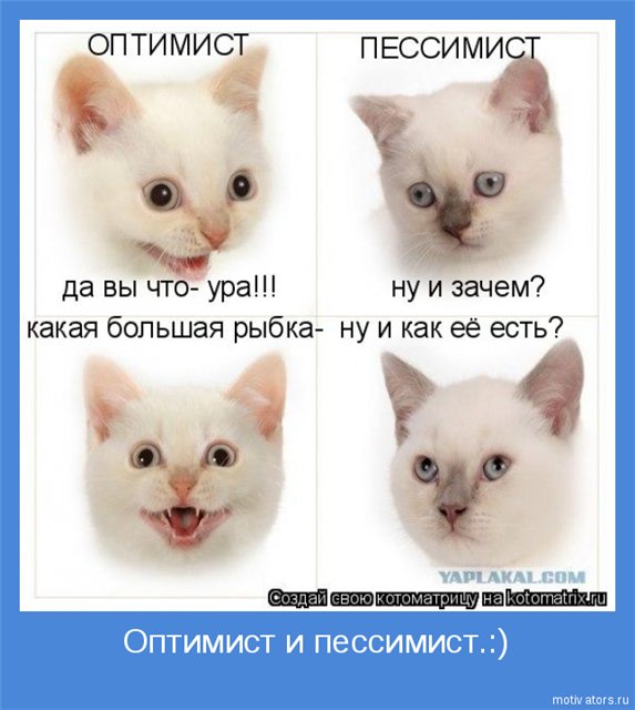 Что делают пессимисты Что делают пессимисты