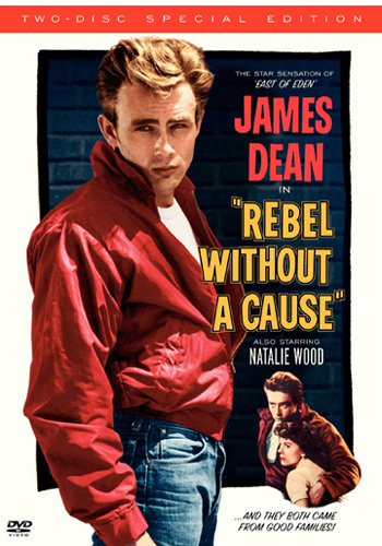 Violence Without a Cause movie