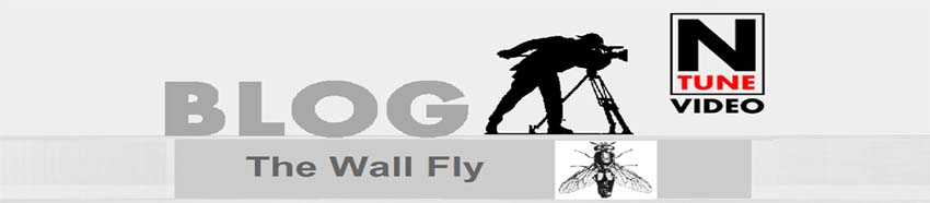 The Wall Fly