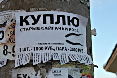 ob для чего скупают рога животных