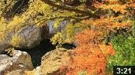 木の葉散る猿飛千壷峡