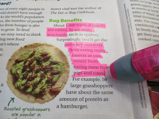 Elementary School Garden: September 2013