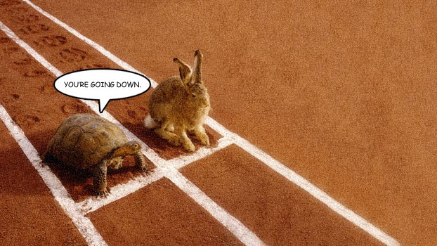 download turtle and the hare download turtle and the hare