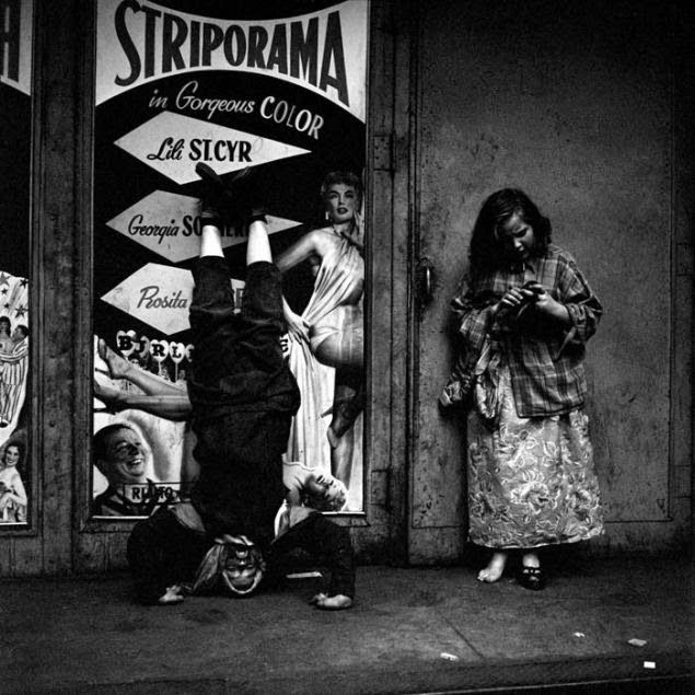 Die Kunst Der Beobachtung Die Notwendige Wissenschaft 3