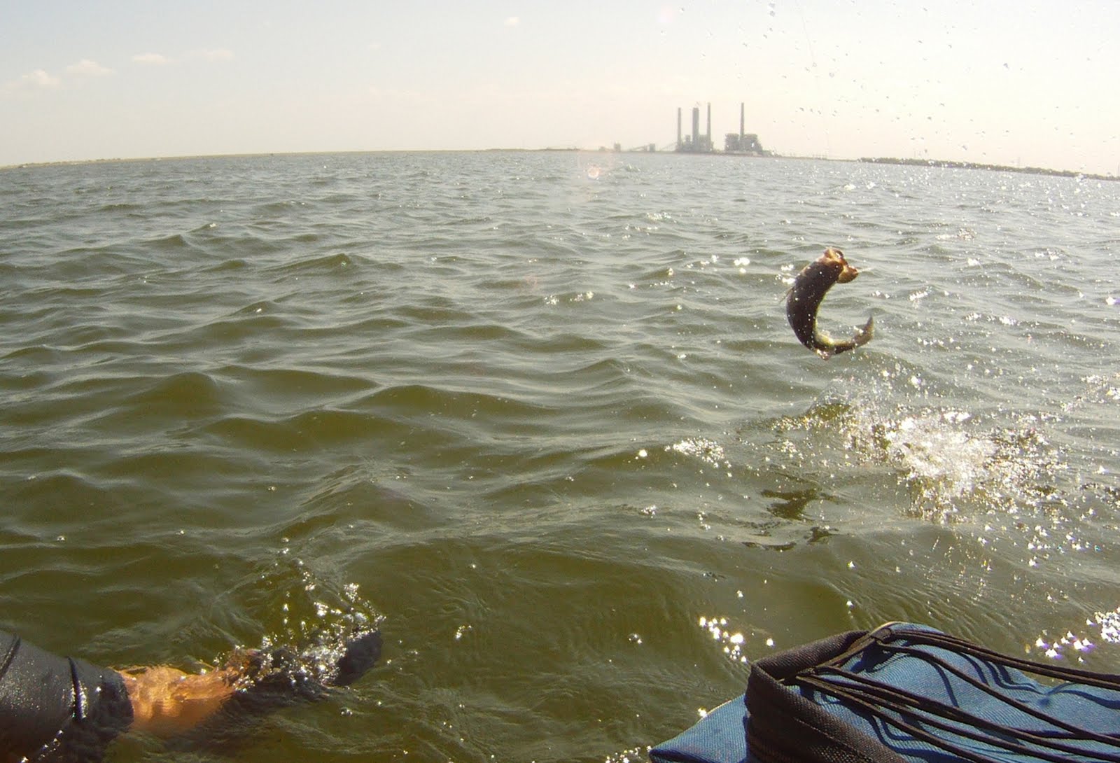 Houston Area Fishing Reports Fayette Fishing Report 4th of July