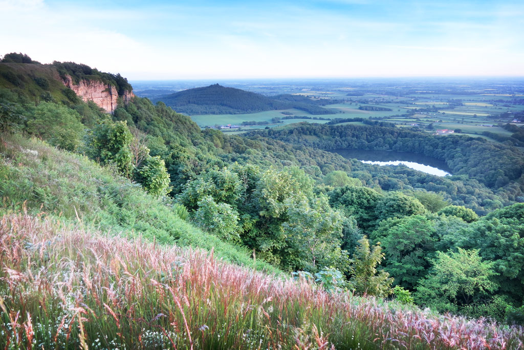 Sutton Bank Walk to Whitestone Cliff, Gormire Lake & the White Horse