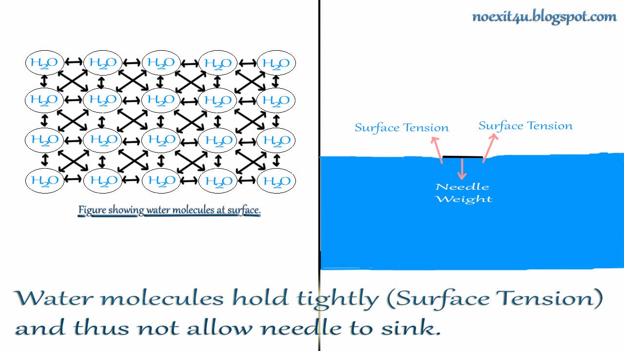 HOW TO FLOAT A NEEDLE OVER THE SURFACE OF WATER