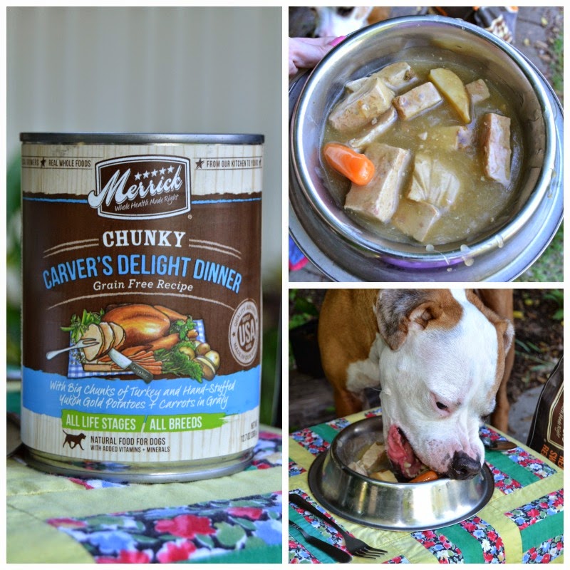 Having Lunch With the BestDogEver Win a Year's Supply of Merrick Dog