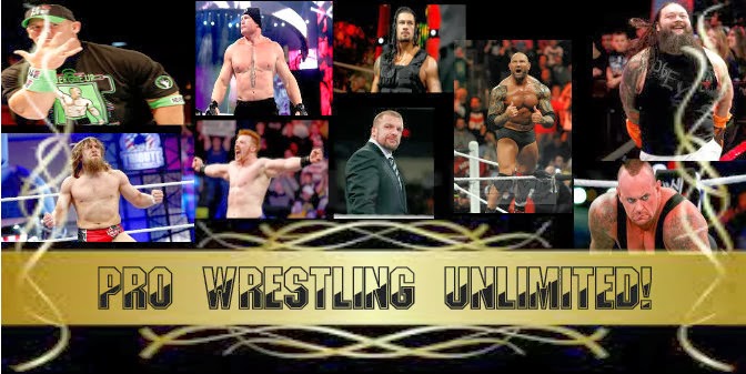 Pro Wrestling Unlimited!