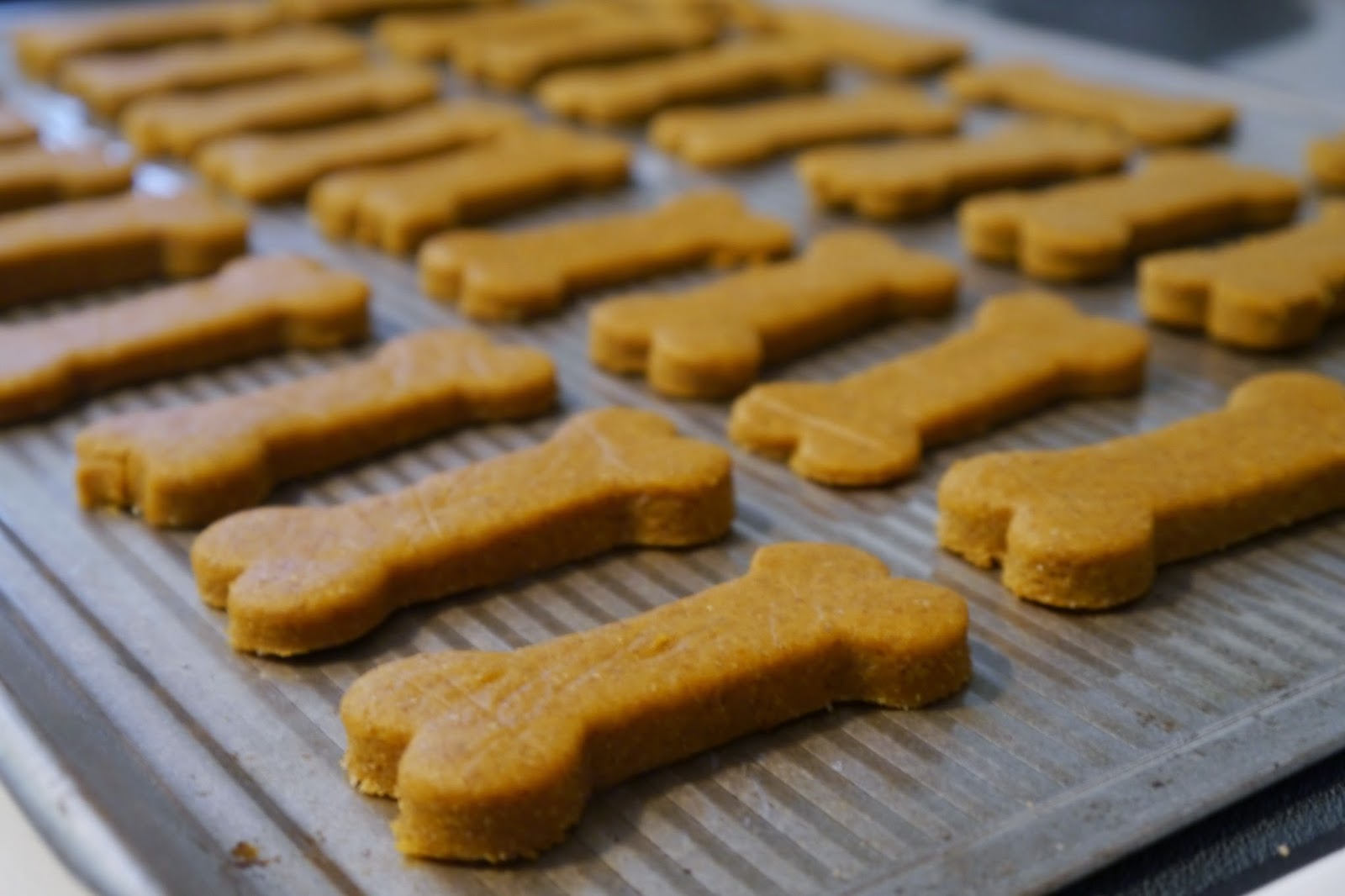 Freezer Meal Exchange Club Homemade Dog Treats