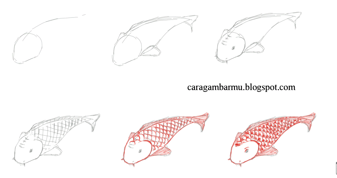 learn to draw blog: Fish
