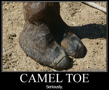27_camel-toe-seriously.gif