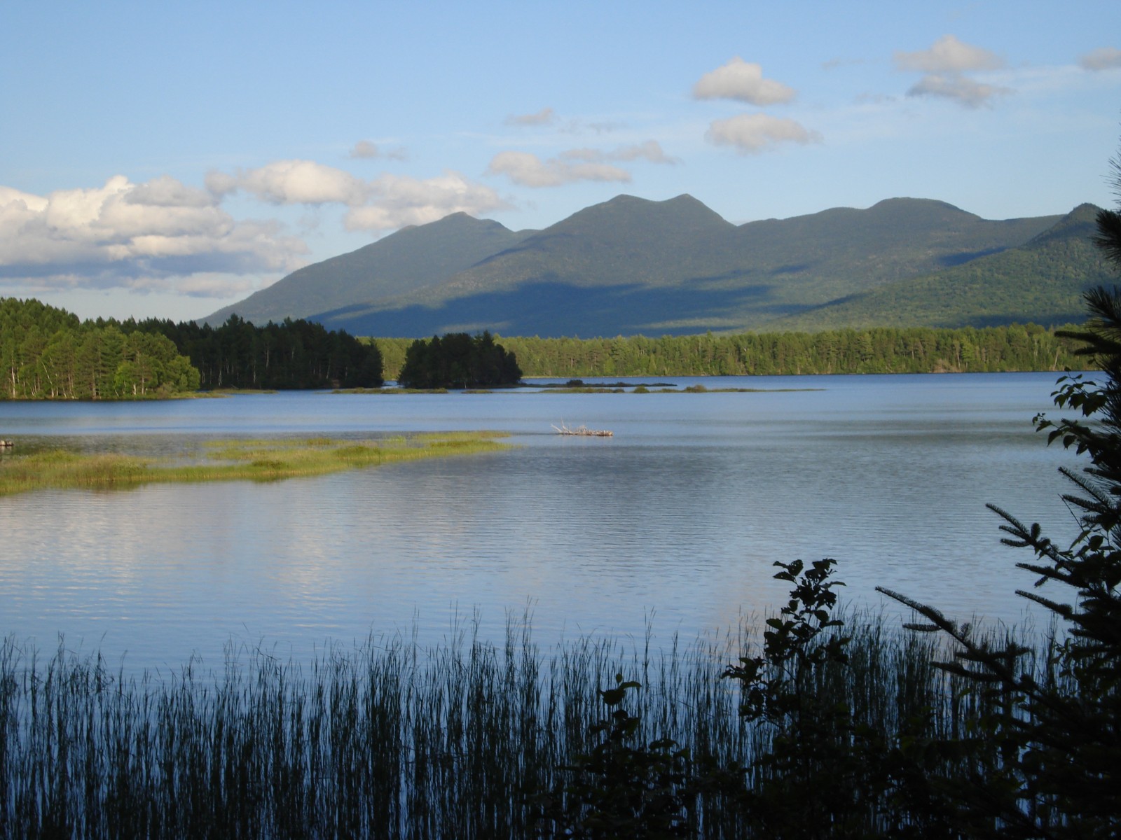 Heart Maine Home Maine Monday 2 Moose encounters