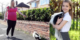 Tips Cara Berita Dan Informasi Walau Berbau Khas Sigung Jadi