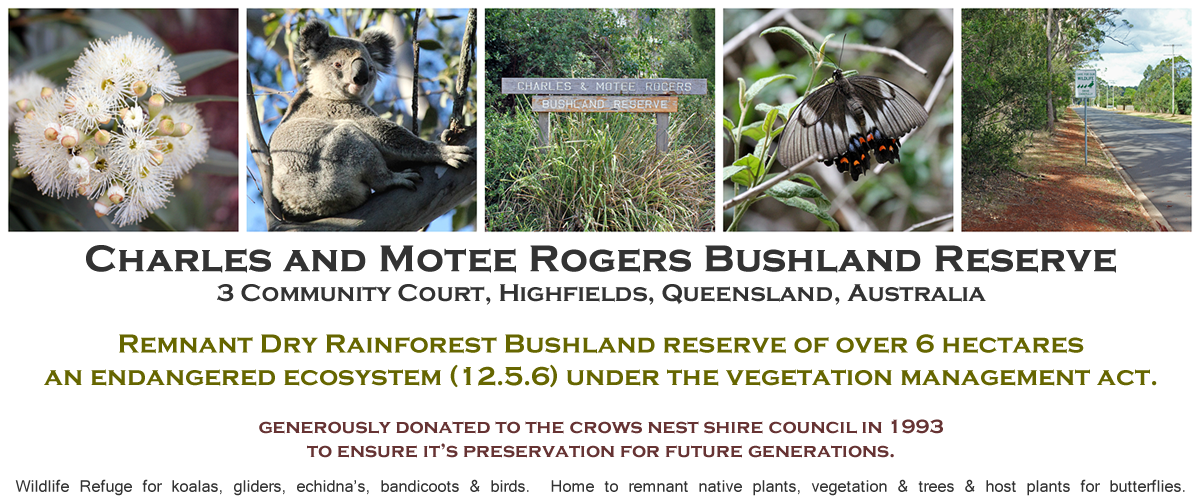 Charles and Motee Rogers Bushland Reserve