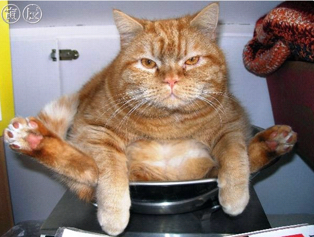 Сводки от Моти Сводки от Моти