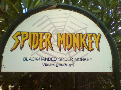 Does whatever a Spider-Monkey does. (except use a hyphen)