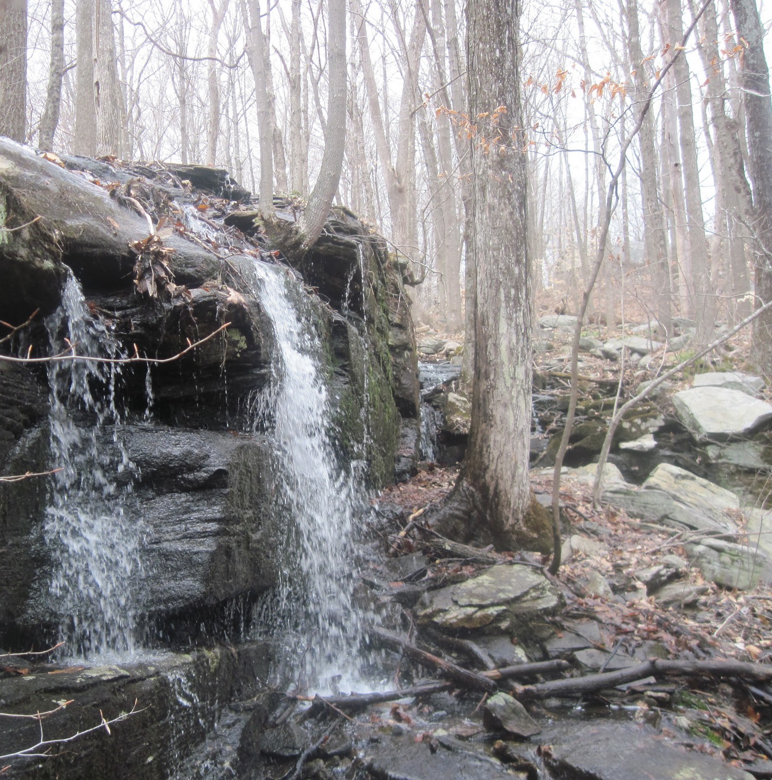 Nuclear Power Disasters