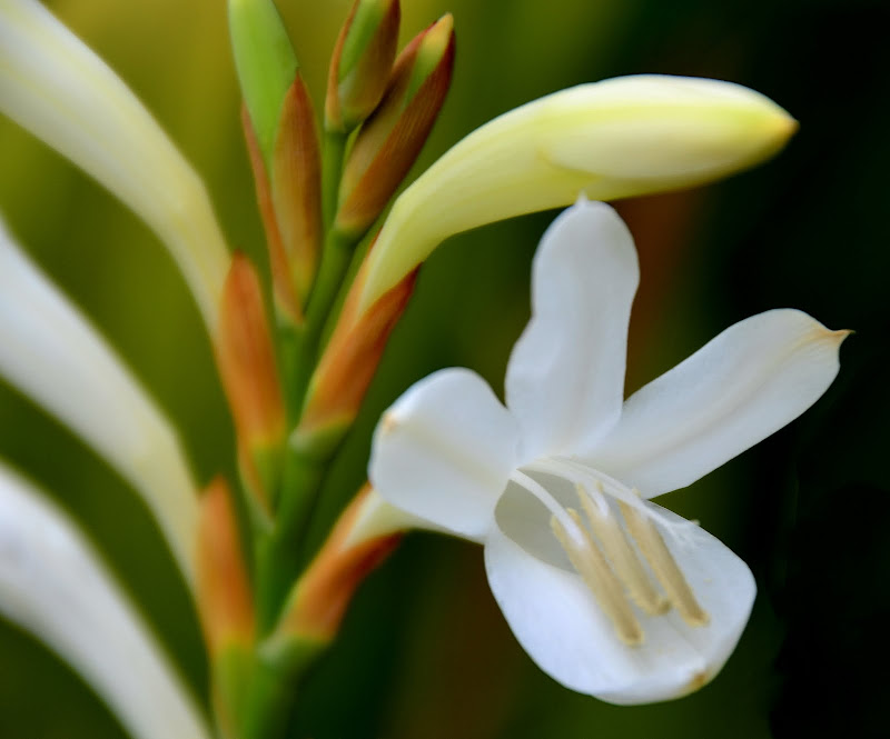Nikon D7000 + Tamron 18-270 VC a 270 (405) mm • ISO 180 • 1/200 • f/9