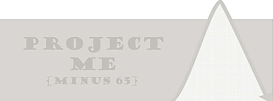 PROJECT ME (MINUS 65)