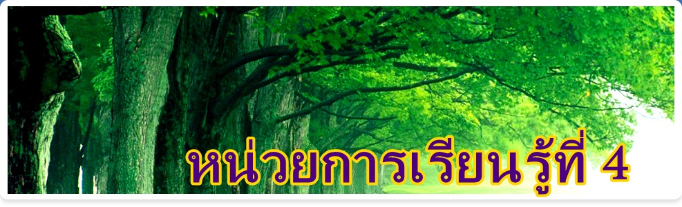 หน่วยการเรียนรู้ที่4