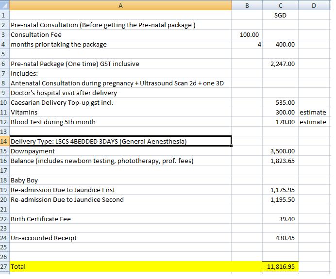 Cost of Pregnancy and Delivery of Baby in SG Pursuit of Functional Home