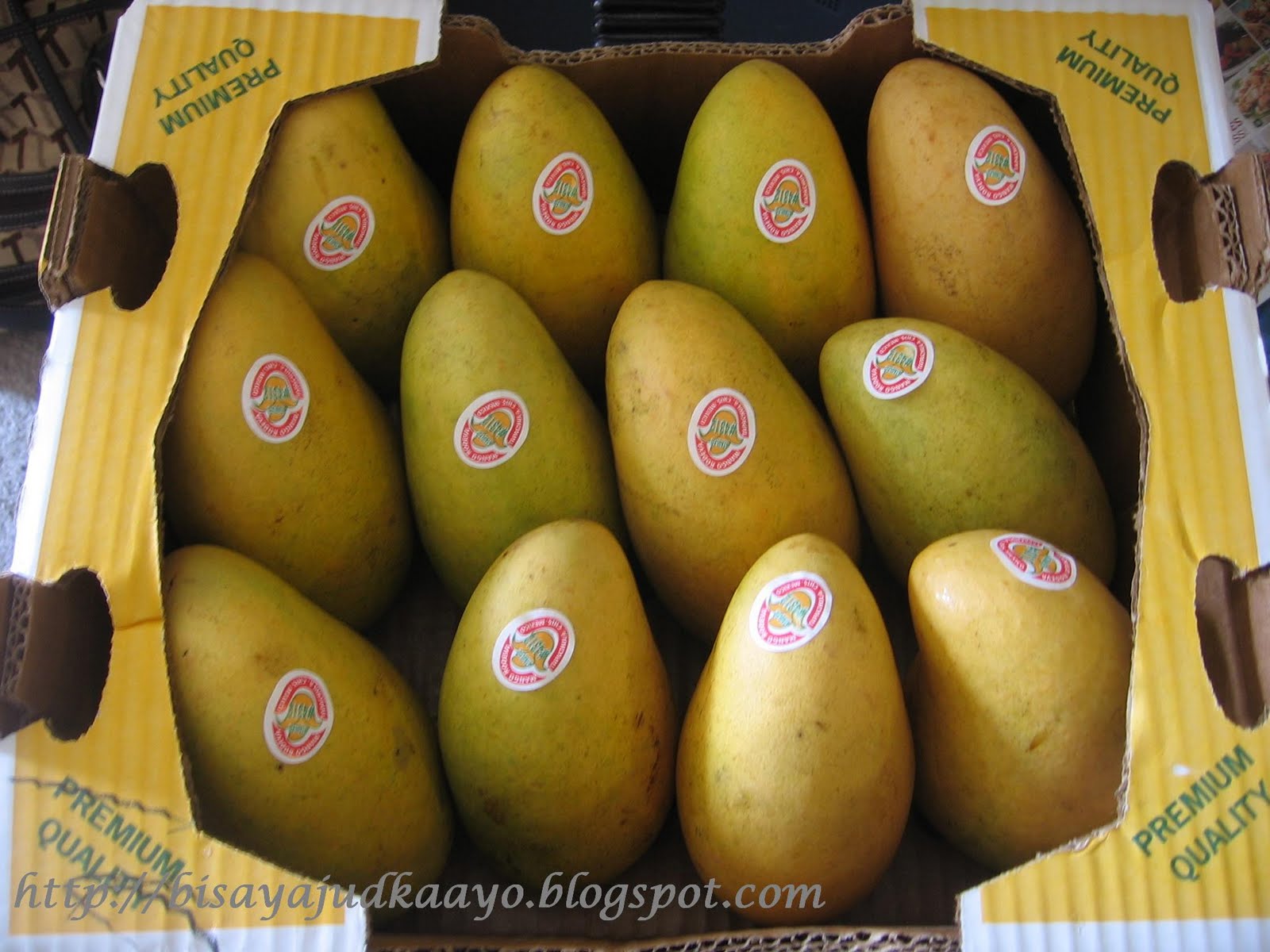 ifferent Kinds of Mangoes photo of Pakistan Pakistani Fruit and Vegetables