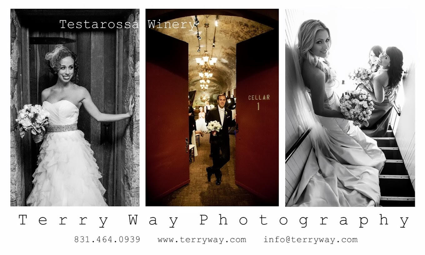 Testarossa Wedding Photographer Terry Way Photography