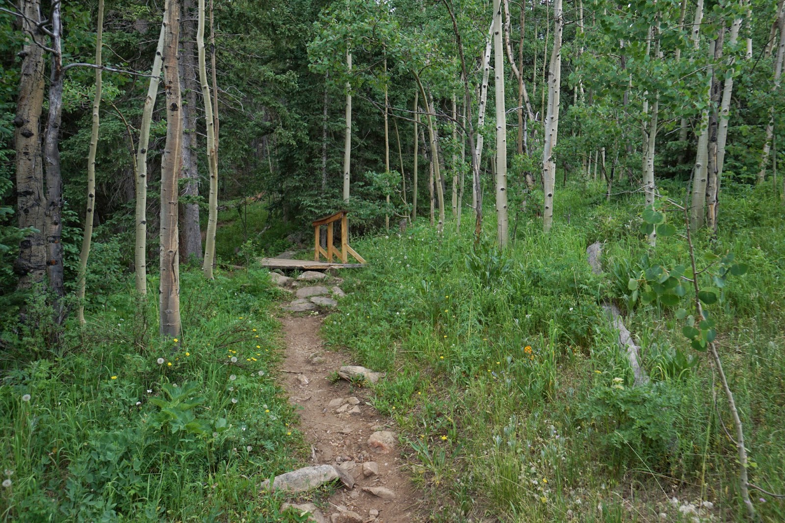 Go Hike Colorado Snowshoe Hare Trail, Golden Gate Canyon State Park