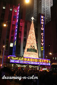 Canandaigua rochester iheartradio listen iheart dreamingincolor: 12 Things to do in NYC at Christmas