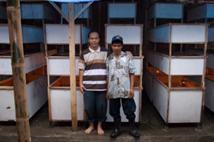 Budidaya Kroto Semut Rangrang Dan Budi Daya Jangkrik Di Bandung Pelatihan Budi Daya Jangkrik Dan Pelatihan Budi Daya Kroto Semut Rangrang Di Bandung