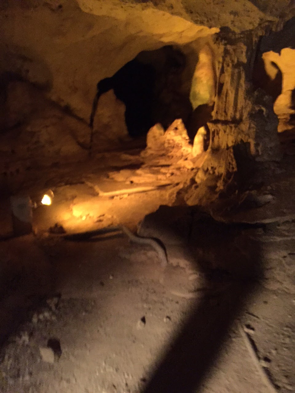 Bats, Bond, and Pirates Green Grotto Caves, Jamaica Cosmos Mariners