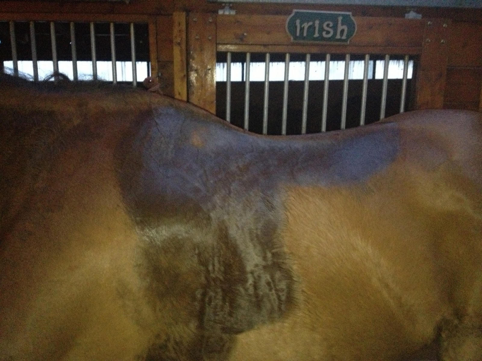 Against My Better Judgement Delicate Princess