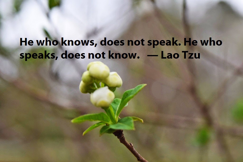 Mariette S Back To Basics He Who Knows Does Not Speak He Who