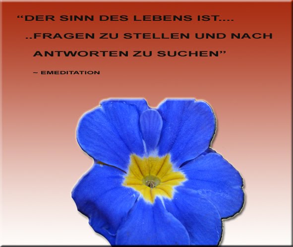 Zitate Freundschaftsspruche Motivation April 2011