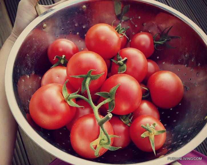 Tomato sauce for pasta with end of season tomatoes Grow Your Own Veg Blog. Gardening and Food