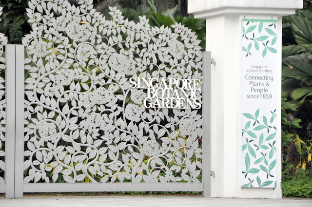 Mekong+giant+catfish+endangered