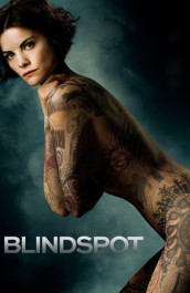 Blindspot Temporada 1 audio español Blindspot Temporada 1 audio español