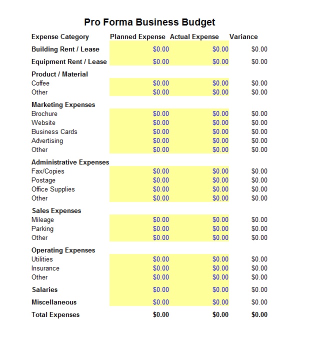 Business Budget Pro Forma Template Sample