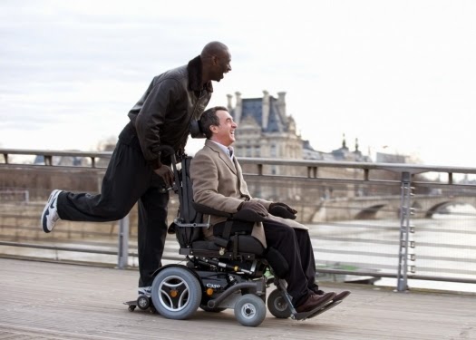 Bahar Renkleri Kasim 2014