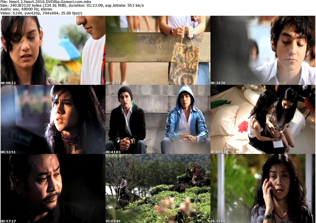 Heart 2 Heart (2010) DVDRip Heart+2+Heart+%25282010%2529+Screen