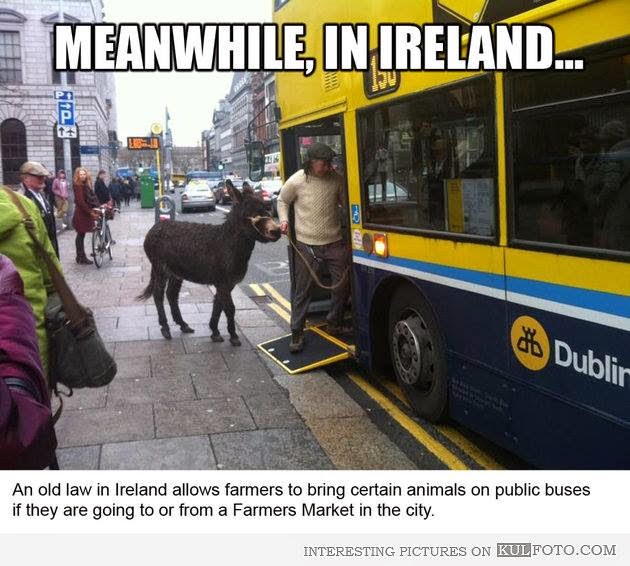 Vivir en Dublin Funny pics Ireland